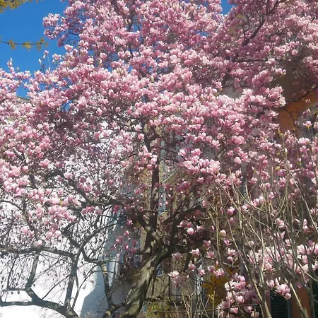 豪斯模本贾尼酒店 酒店 格拉茨