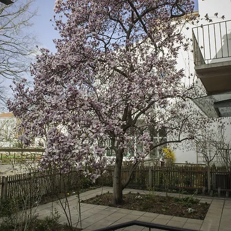 Hotel Haus Mobene - Garni
