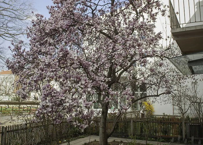 豪斯模本贾尼酒店