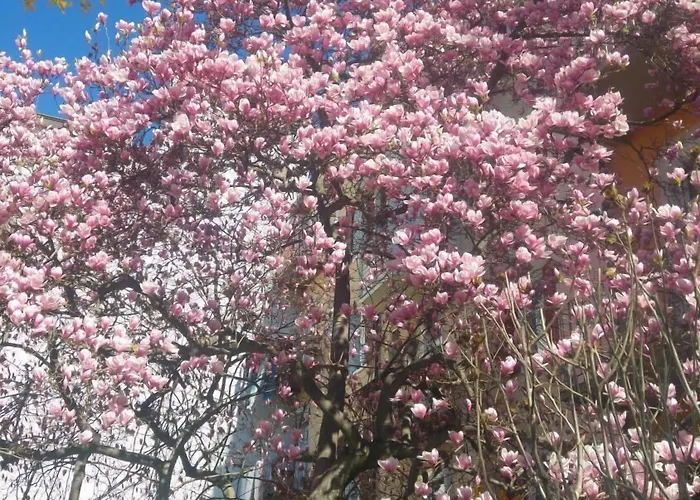 豪斯模本贾尼酒店 酒店 格拉茨